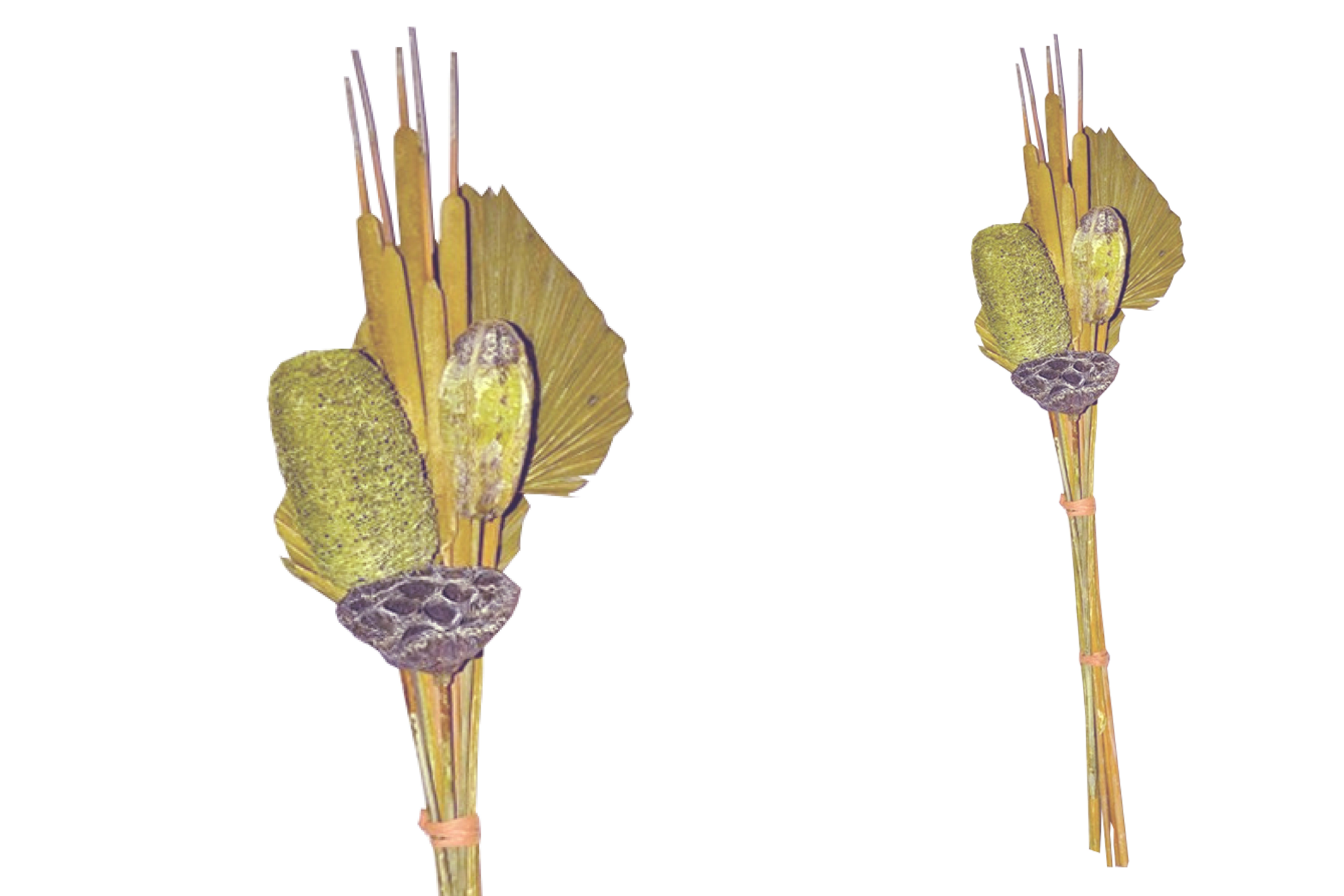 Trockenblume Grabstrauß BOHO Style Little Palm kiwi 64cm Exoten Grabdeko, finehomegarden, Grabgestecke Всеheiligen Totensontag Trockenstrauß