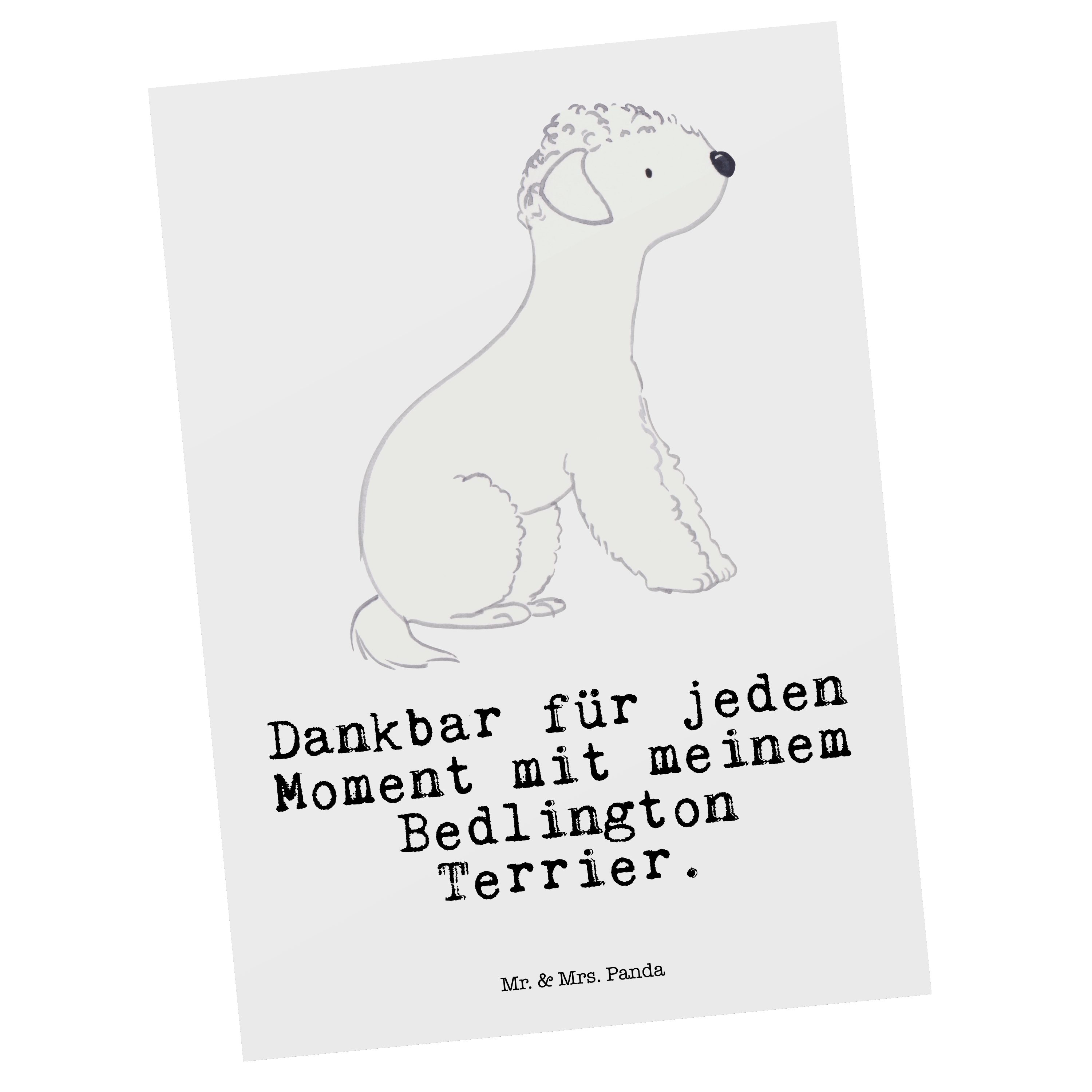 Mr. & Mrs. Panda Postkarte Bedlington Terrier Moment - Weiß - Geschenk, Geschenkkarte, Rassehund