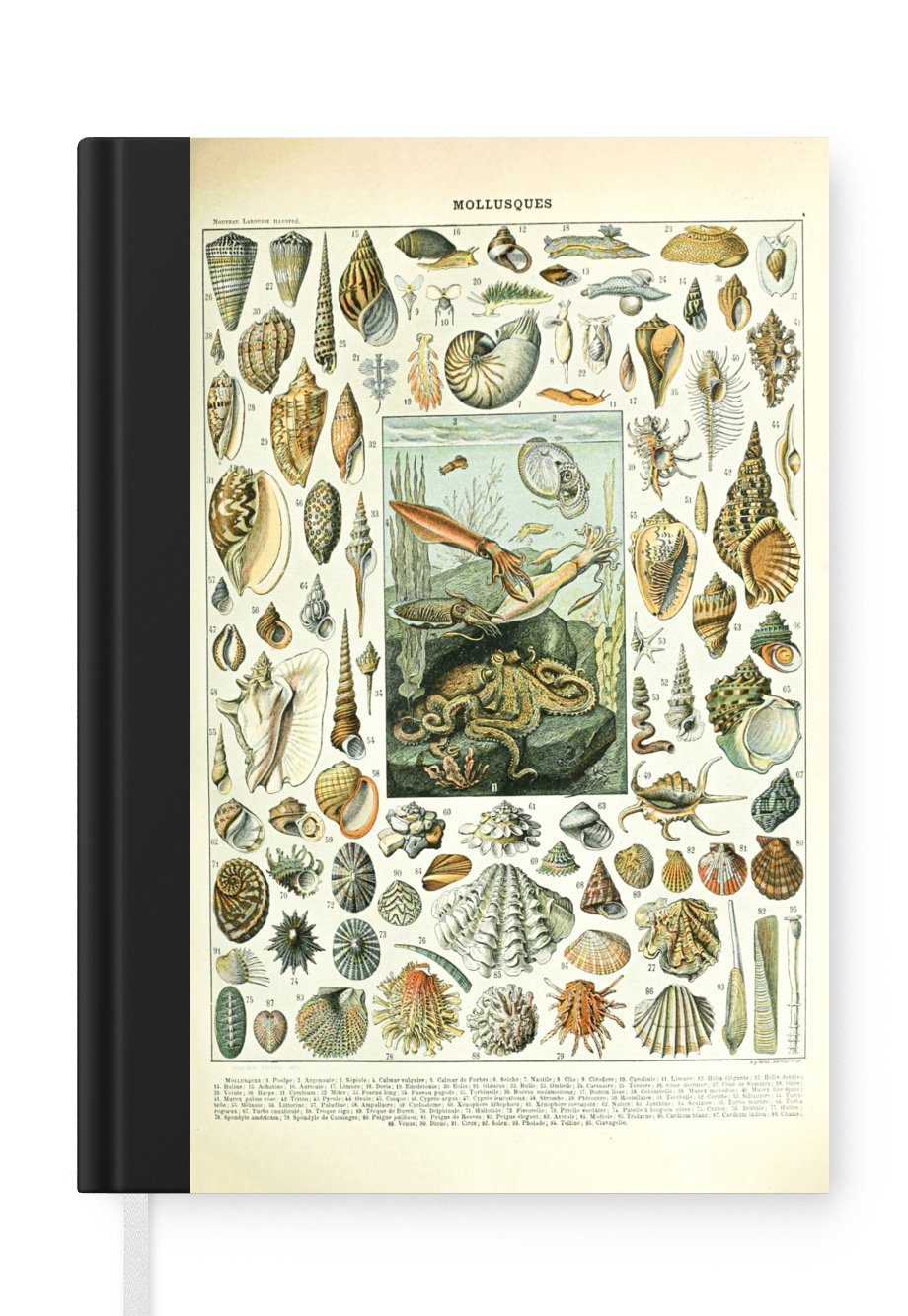 MuchoWow Notizbuch Meerestiere - Muschel - Vintage - Meer - Adolphe Millot, Journal, Merkzettel, Tagebuch, Notizheft, A5, 98 Seiten, Haushaltsbuch