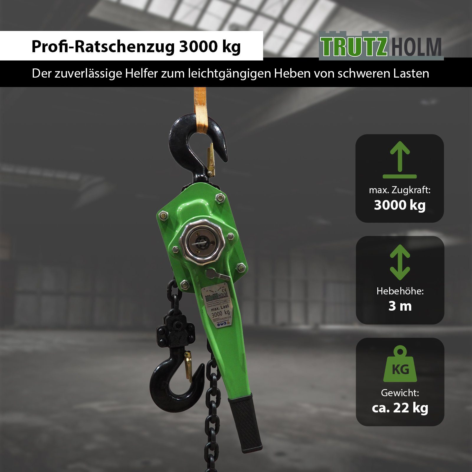 TRUTZHOLM Kettenzug Ratschenzug 3 t - 3 m Hubhöhe Hebezug Kettenzug Hebelzug Flaschenzug, (Produkt, 1 St), Handgriff Kettenendsicherungsring