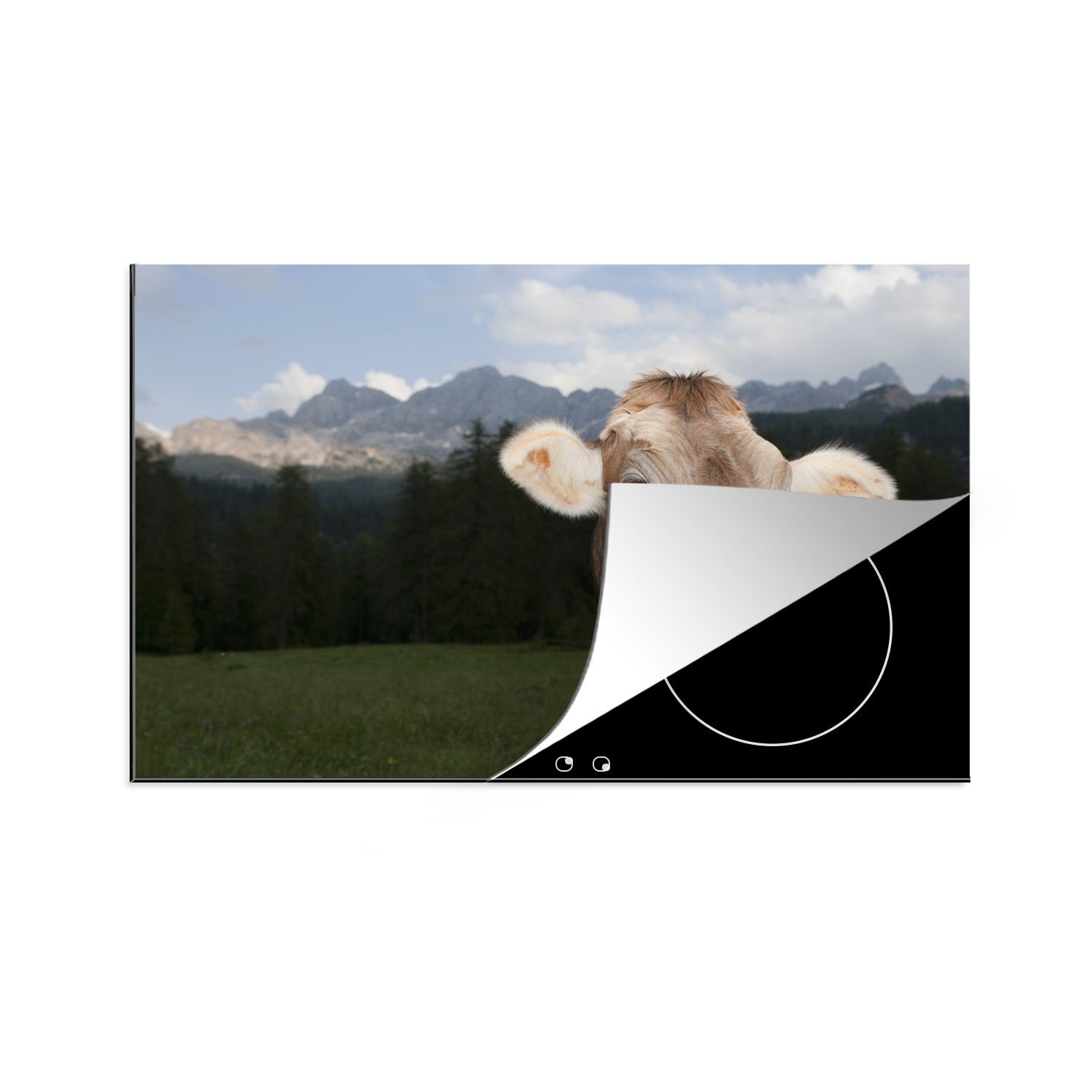 MuchoWow Herdblende-/Abdeckplatte Kuh küche, Schutz Licht die (1 Porträt, Induktionskochfeld Vinyl, tlg), cm, - Ceranfeldabdeckung - 81x52 für
