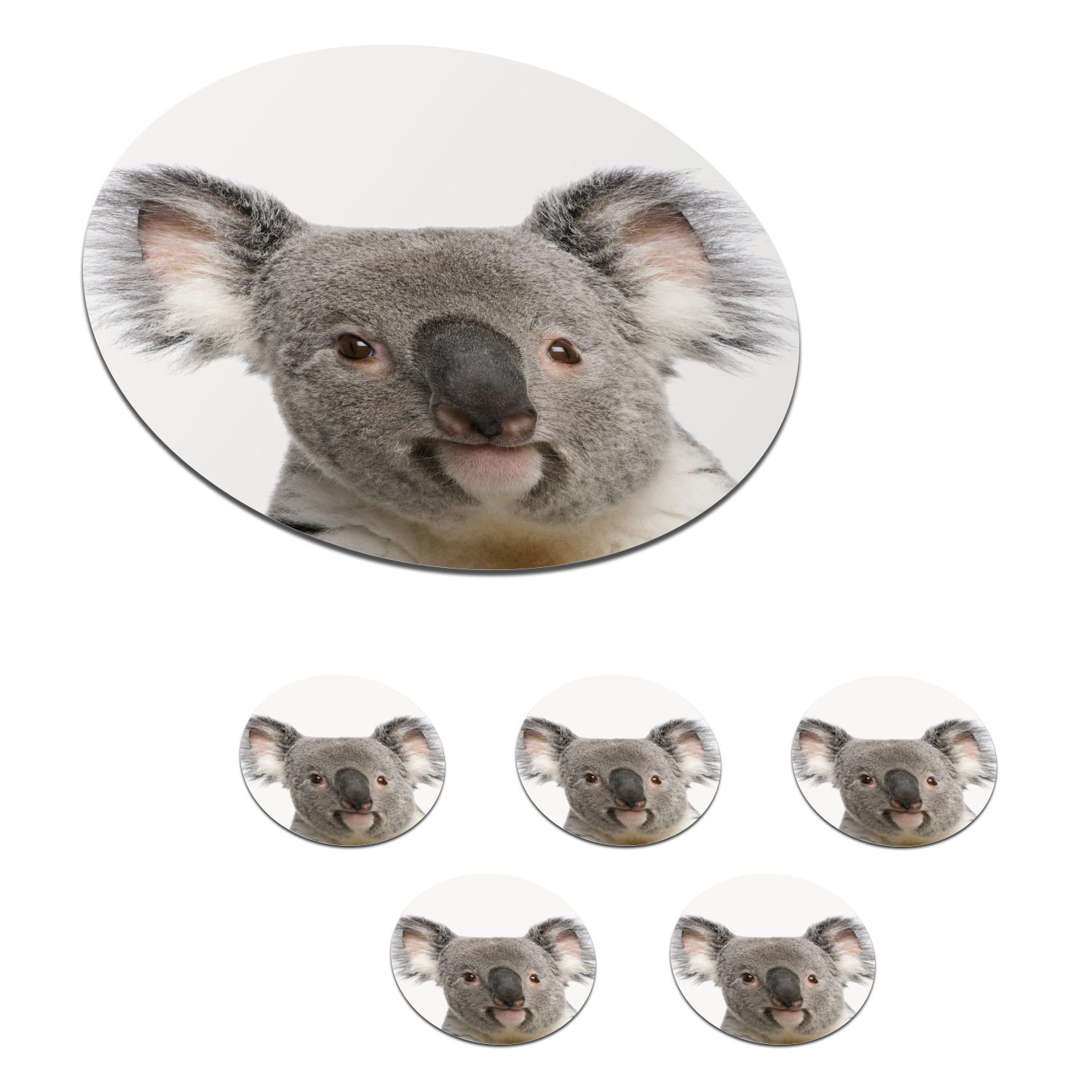 MuchoWow Glasuntersetzer Tiere - Koala - Weiß, Zubehör für Gläser, 6-tlg., Getränkeuntersetzer, Tassenuntersetzer, Korkuntersetzer, Tasse, Becher