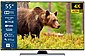 JVC LT-55VU8155 LED-Fernseher (139 cm/55 Zoll, 4K Ultra HD, Smart TV, HDR Dolby Vision, Triple-Tuner, 6 Monate HD+ inklusive), Bild 1
