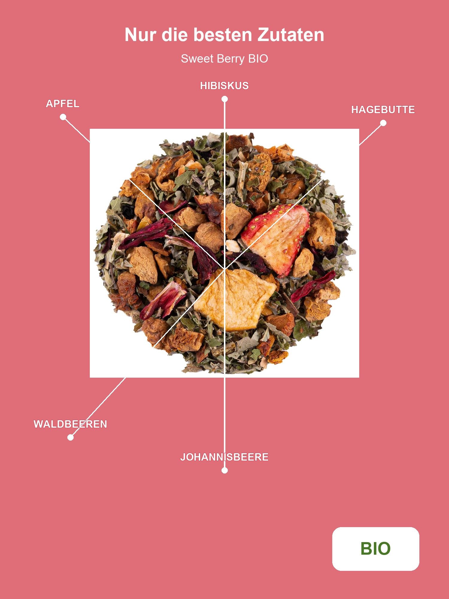 Alveus Tee Tee Alveus Sweet Berry BIO Früchtetee Waldbeere 100g Tüte, 1 x 100,00 g, Bio; Lose Premium-Teemischung; natürlich aromatisiert; Geschmack: Wald