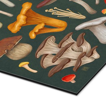 Posterlounge Alu-Dibond-Druck Vasilisa Romanenko, Pilze, Wohnzimmer Natürlichkeit Illustration