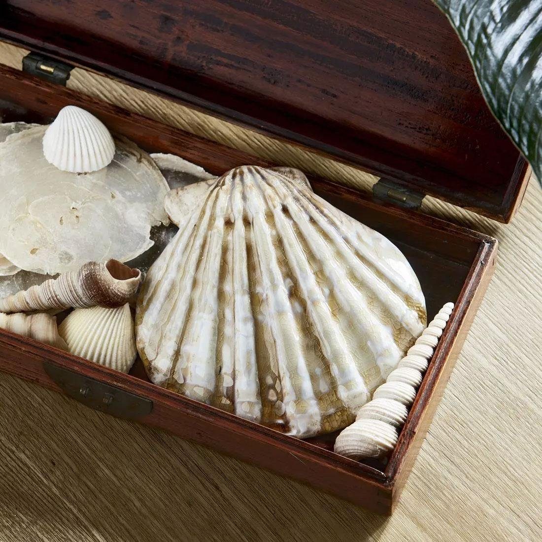 Rivièra Maison Skulptur Dekorationsobjekt Muschel Loulé günstig online kaufen