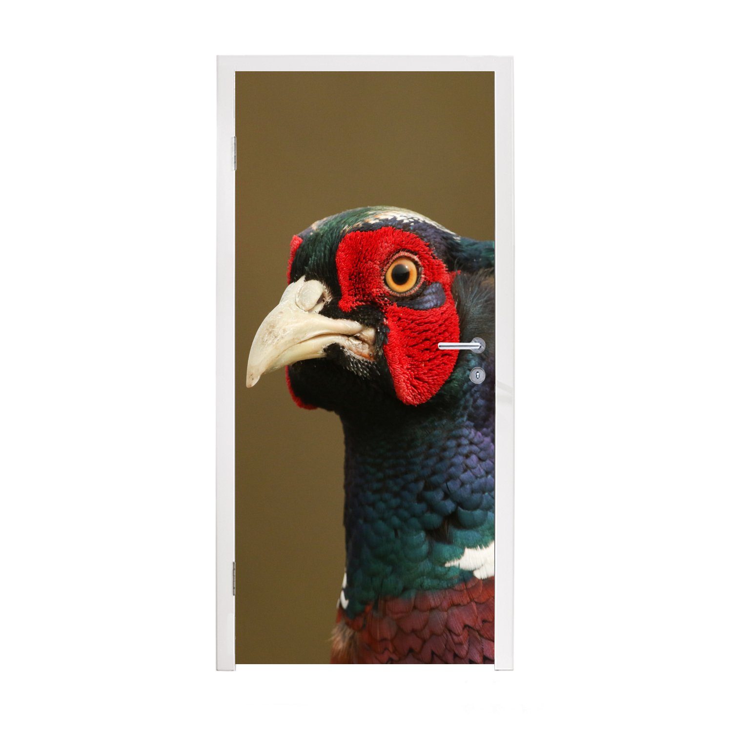 MuchoWow Türtapete Fasan - Porträt - Tiere, Matt, bedruckt, (1 St), Fototapete für Tür, Türaufkleber, 75x205 cm | Türtapeten