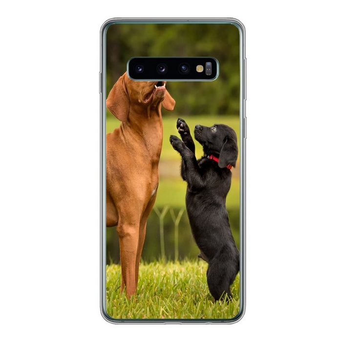 MuchoWow Handyhülle Ein Welpe spielt mit einem erwachsenen Hund Phone Case Handyhülle Samsung Galaxy S10 Silikon Schutzhülle