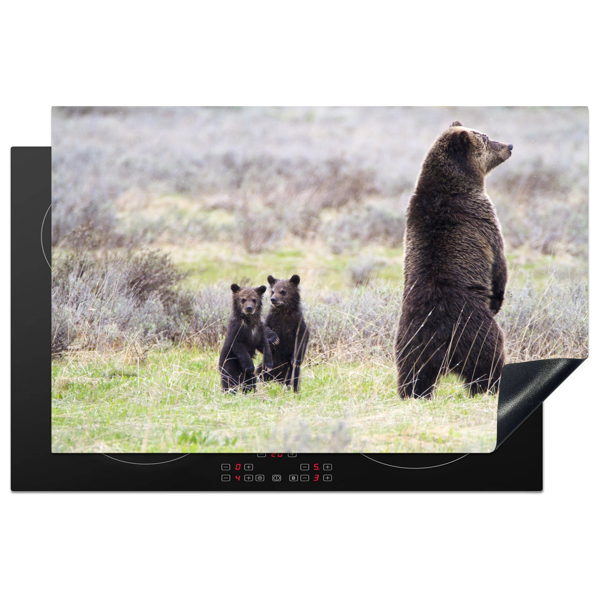 MuchoWow Herdblende-/Abdeckplatte Bild einer Grizzlybärin mit ihren Jungtieren, Vinyl, (1 tlg), 81x52 cm, Induktionskochfeld Schutz für die küche, Ceranfeldabdeckung