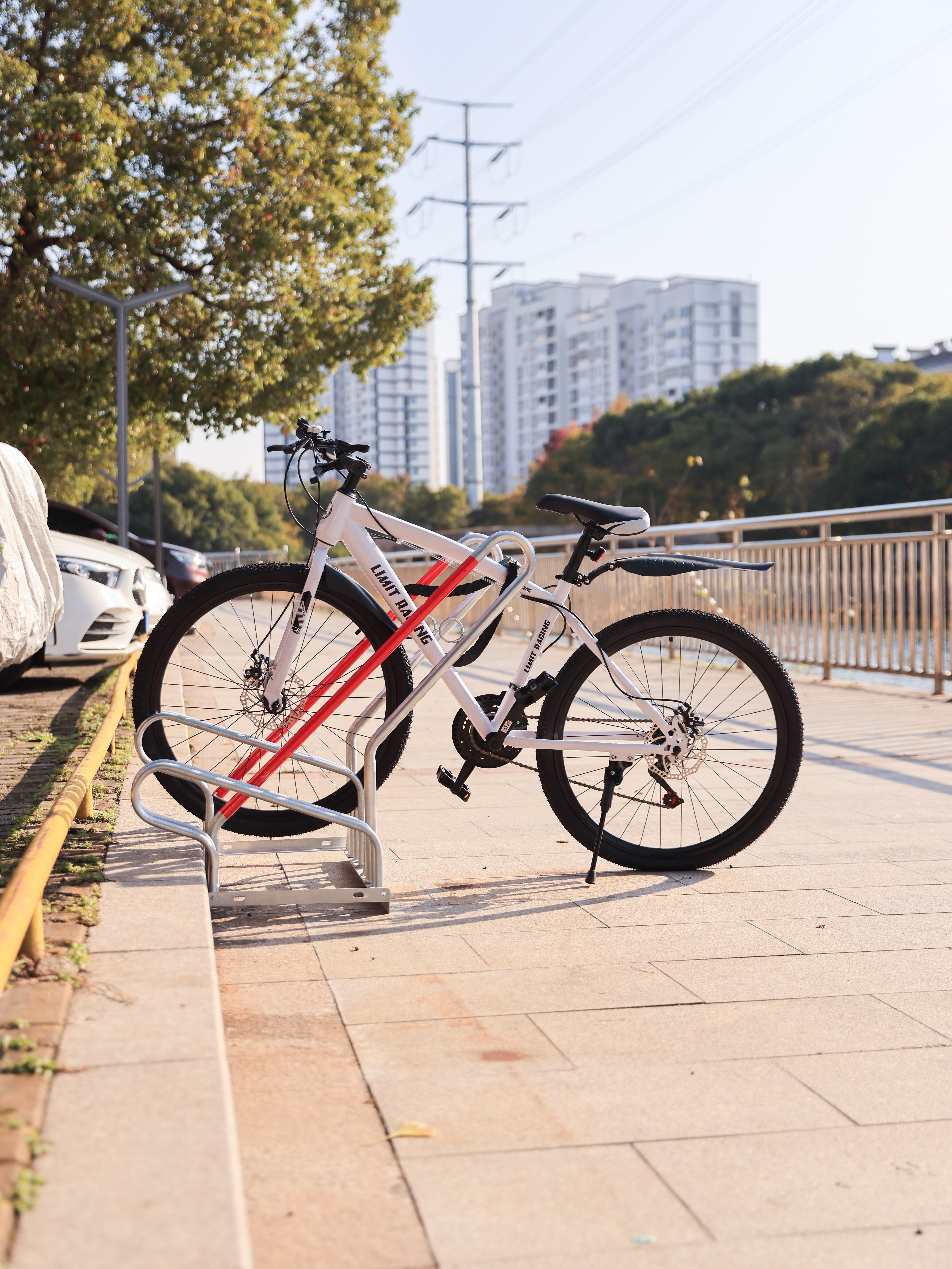 SCHULTE Regalwelt Fahrradständer E-Bike, für 2 Stellplätze, ca. 70x82x93 cm (LxHxB), verzinkt – Bild 5 von 5