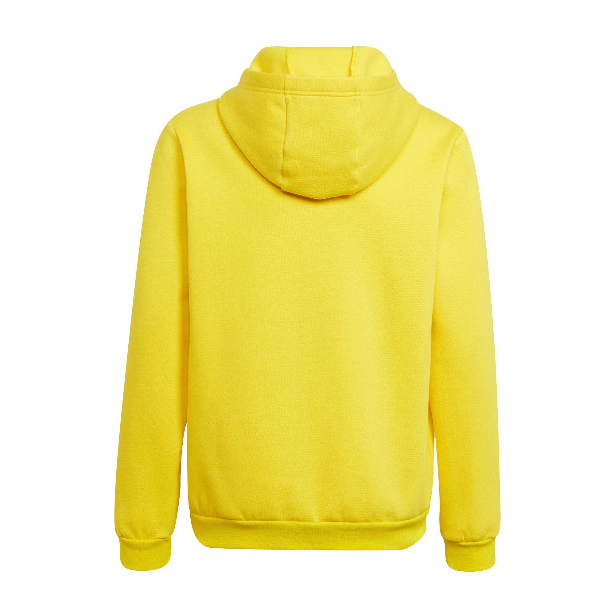 adidas Performance Kapuzenpullover adidas Kinder Kapuzenpullover Entrada 22 Sweat Hoodie