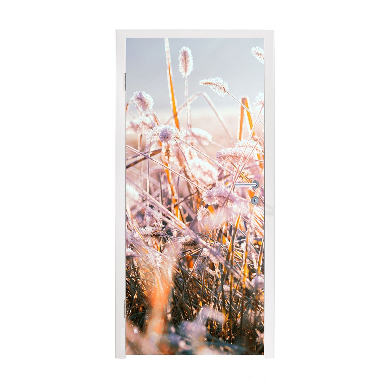 MuchoWow Türtapete Gras - Sonne - Winter - Schnee, Matt, bedruckt, (1 St), Fototapete für Tür, Türaufkleber, 75x205 cm