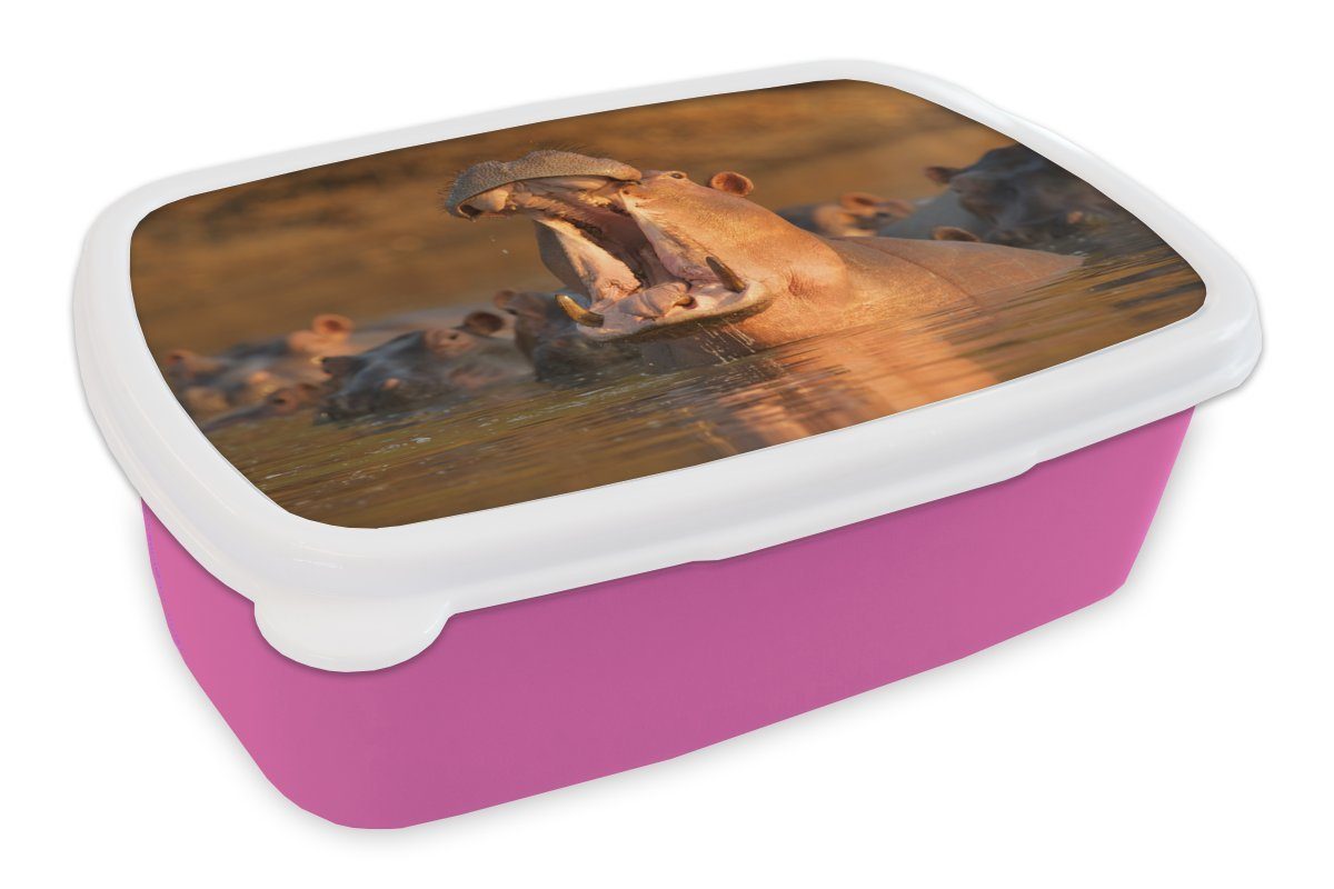 MuchoWow Lunchbox Nilpferde - Wasser, Kunststoff, (2-tlg), Brotbox für Erwachsene, Brotdose Kinder, Snackbox, Mädchen, Kunststoff rosa