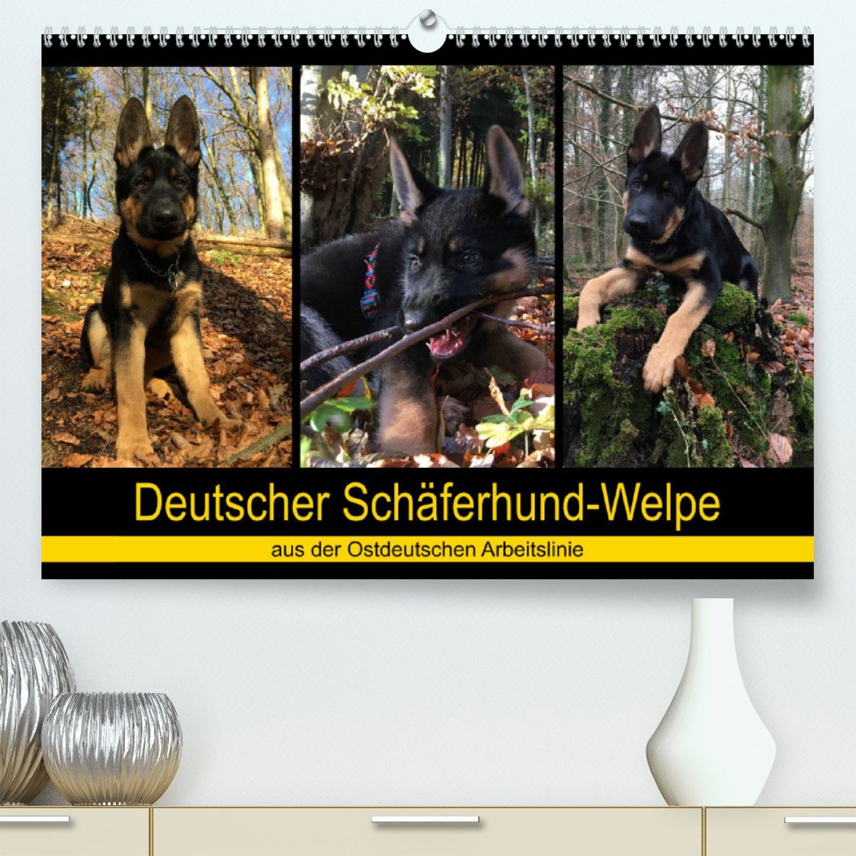 CALVENDO Wandkalender Deutscher Schäferhund-Welpe - aus der Ostdeutschen Arbeitslinie (Premium, hochwertiger DIN A2 Wandkalender 2023, Kunstdruck in Hochglanz)