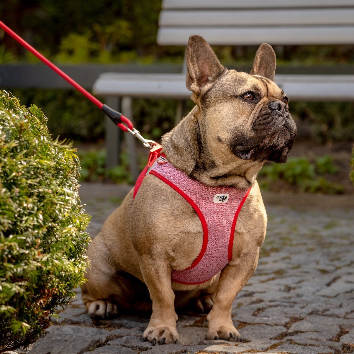 Curli Hunde-Geschirr Clasp Vest Geschirr Merino rot