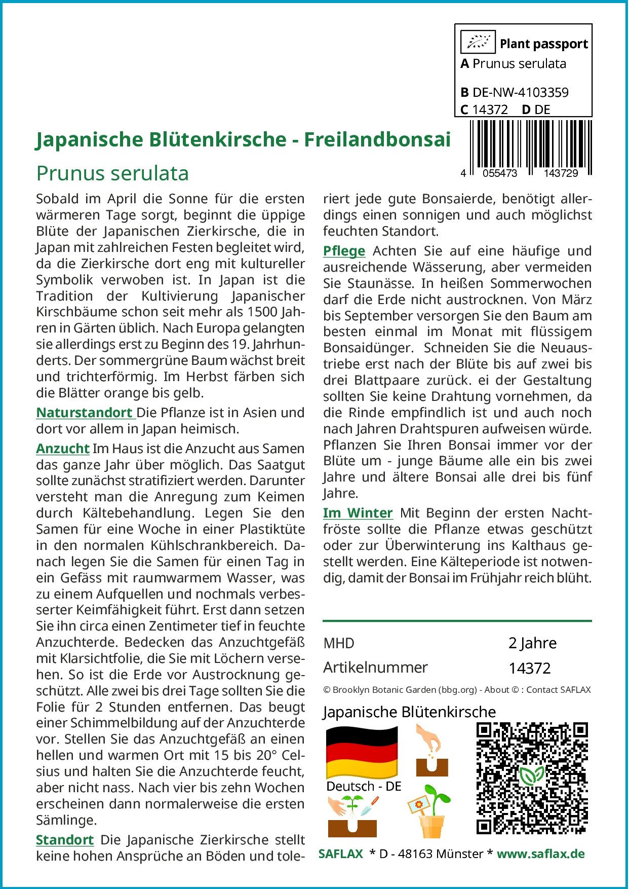 SAFLAX Blumensamen SAFLAX - Samen - günstig online kaufen