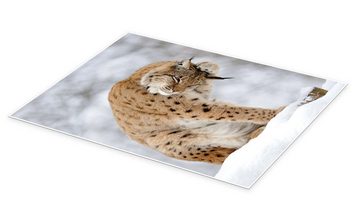 Posterlounge Poster Editors Choice, Luchs im Winterwald, Fotografie