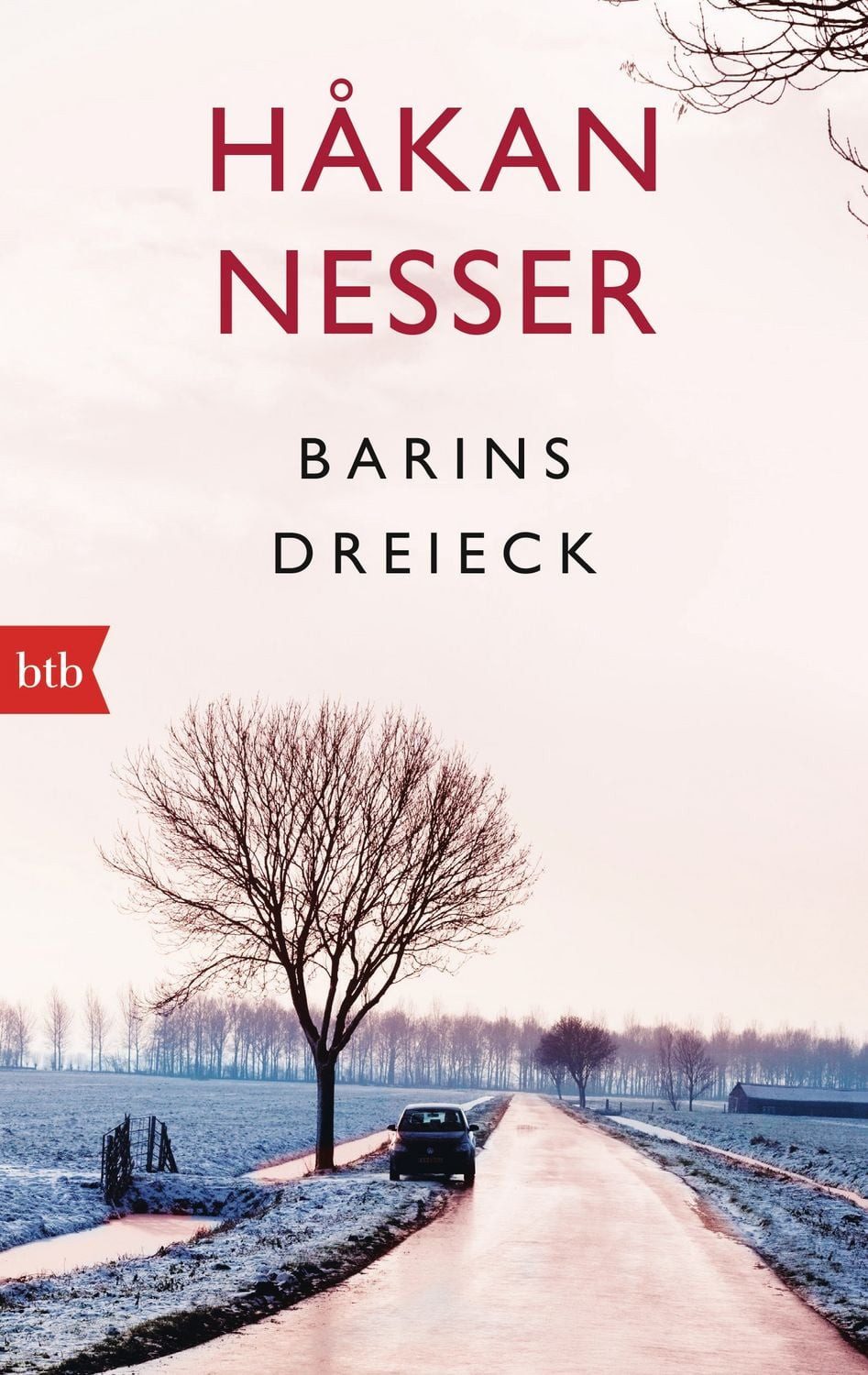 Barins Dreieck / Hakan Nesser