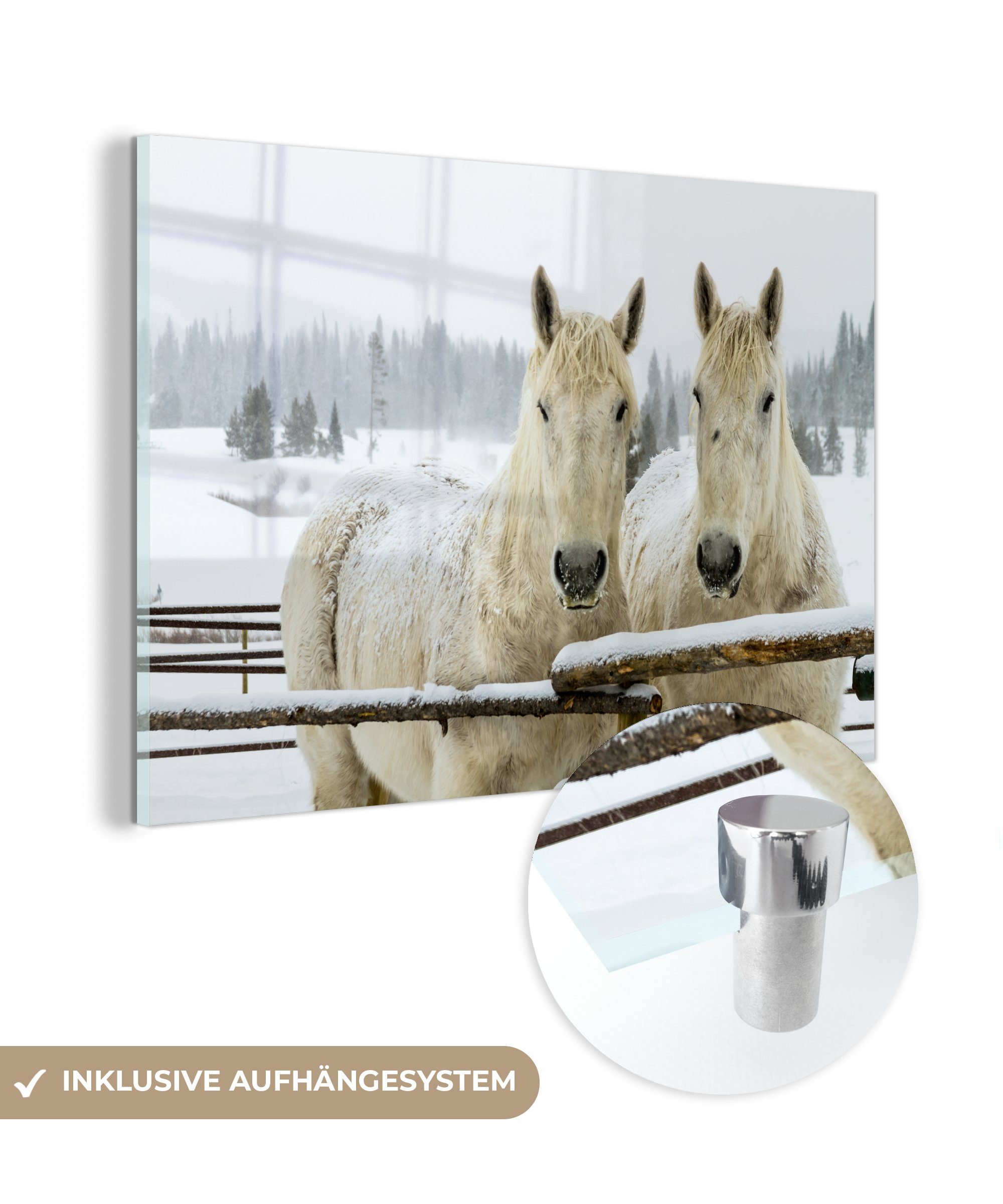 MuchoWow Acrylglasbild Pferde - Schnee - Zaun, (1 St), Acrylglasbilder Wohnzimmer & Schlafzimmer