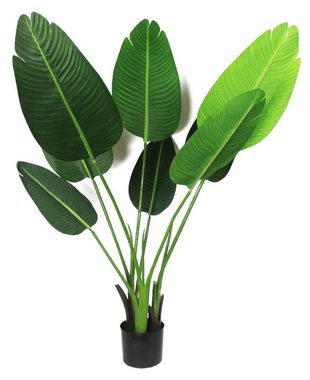 Kunstpflanze Künstliche Pflanze KP800600 Strelizie Paradies Pflanze, Arnusa, Höhe 120 cm, Fertig im Topf