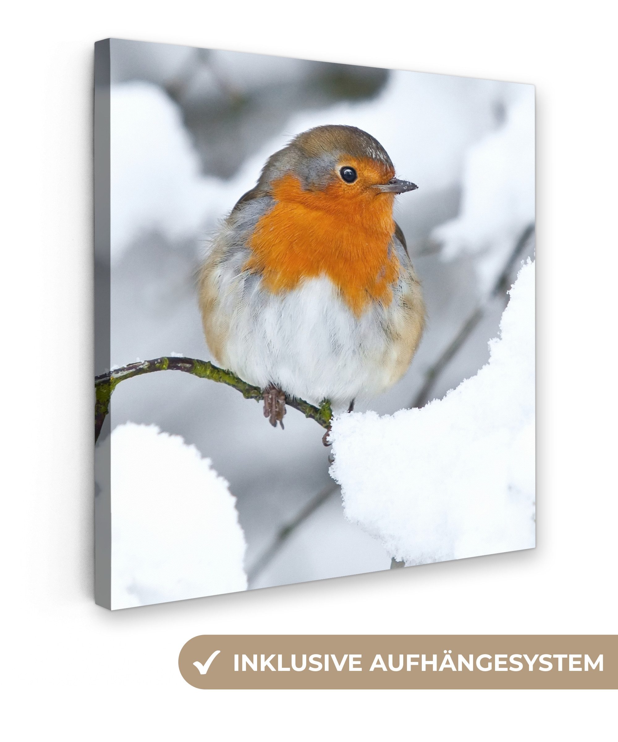 OneMillionCanvasses® Leinwandbild Rotkehlchen - Schnee - Winter, Fotodruck günstig online kaufen