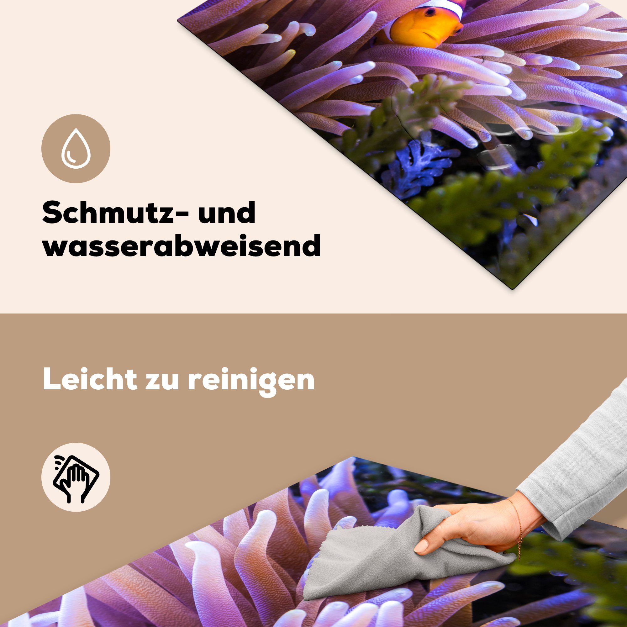 Schutz - Induktionskochfeld für (1 Anemone Ceranfeldabdeckung die Nemo, 81x52 - tlg), MuchoWow cm, Fisch Vinyl, Herdblende-/Abdeckplatte küche,