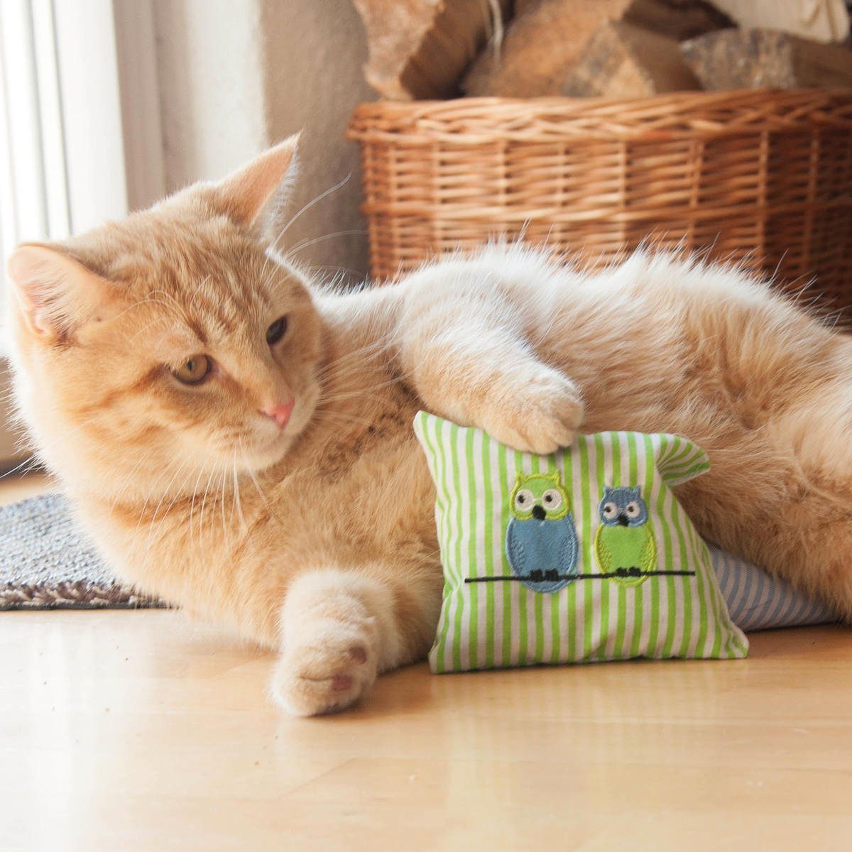 Aumüller Raschelkissen Katzenspielkissen mit Katzenminzefüllung, Leander Mini