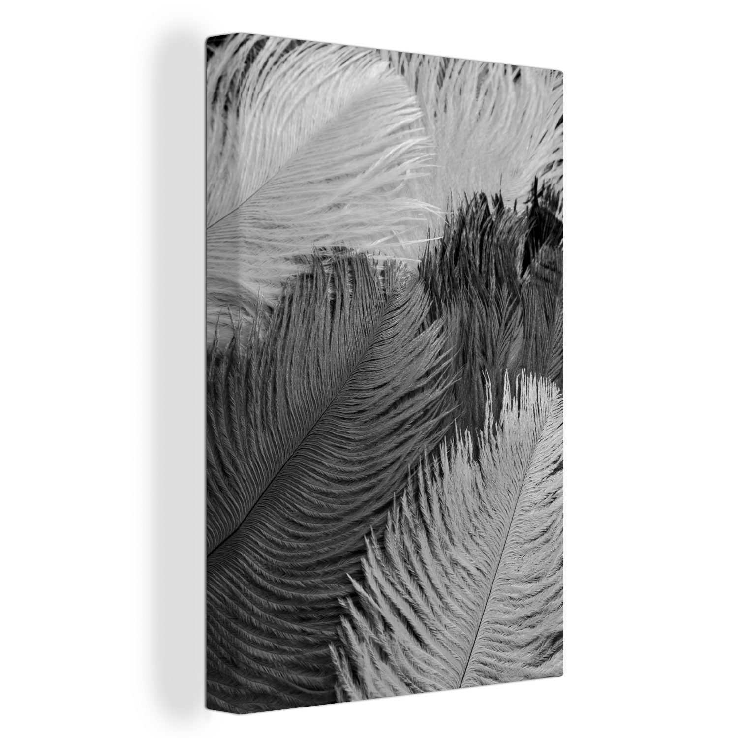 und - OneMillionCanvasses® 20x30 schwarz Leinwandbild Zackenaufhänger, Gemälde, (1 weiß, bespannt cm inkl. Leinwandbild St), fertig Federtexturen
