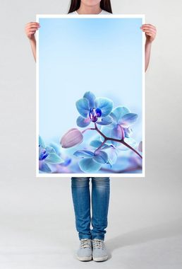 Sinus Art Poster Naturfotografie 60x90cm Poster Pastellblaue Orchideen
