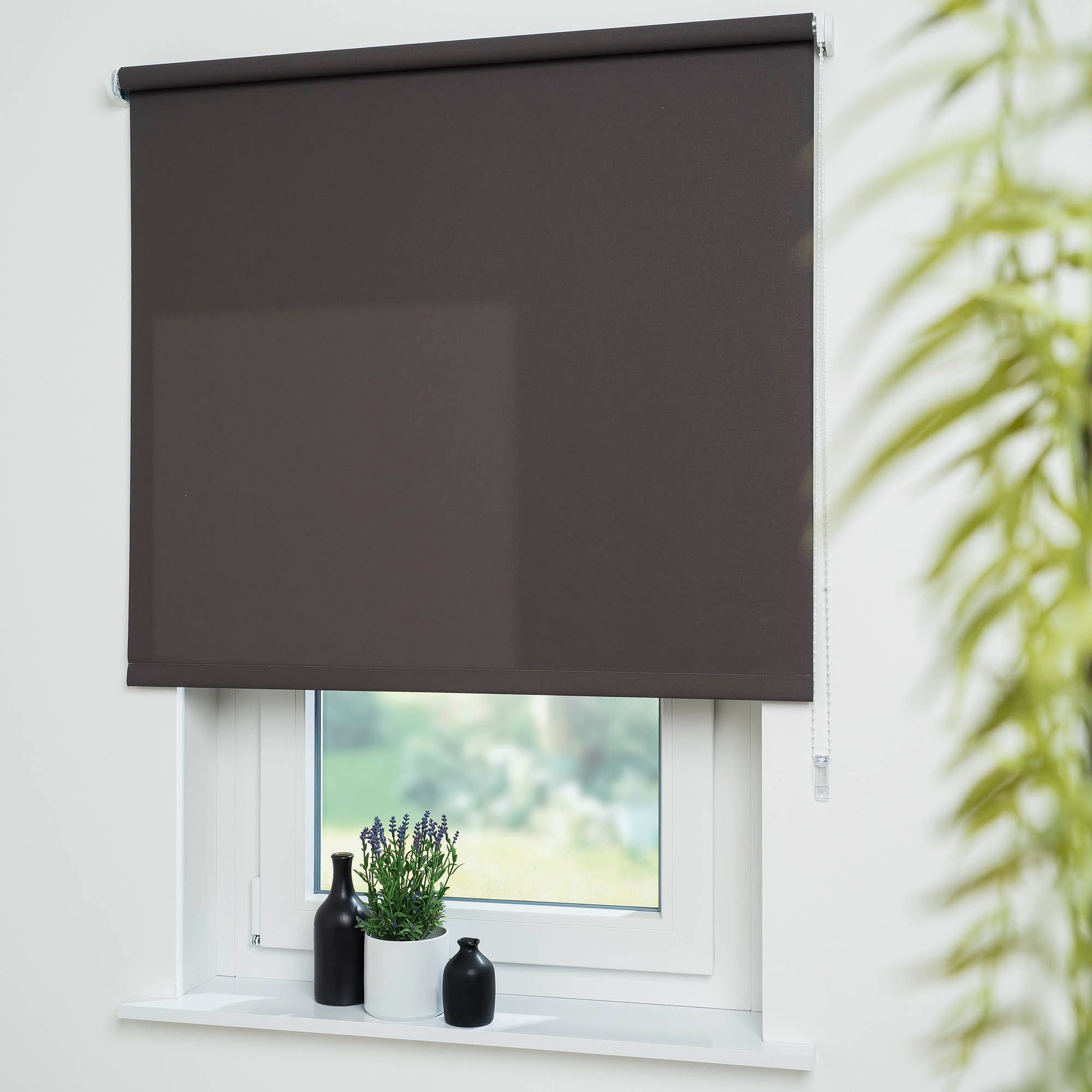 Seitenzugrollo Uni, Liedeco, Lichtschutz, mit Bohren, günstig online kaufen