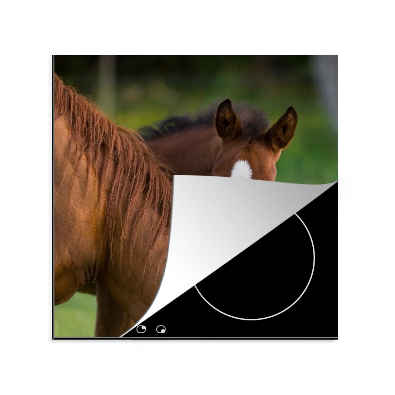 tlg), für Pferde Arbeitsplatte Gras (1 Vinyl, cm, Porträt, Herdblende-/Abdeckplatte - Ceranfeldabdeckung, MuchoWow küche 78x78 -