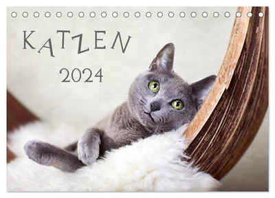 CALVENDO Wandkalender Katzen 2024 (Tischkalender 2024 DIN A5 quer), CALVENDO Monatskalender