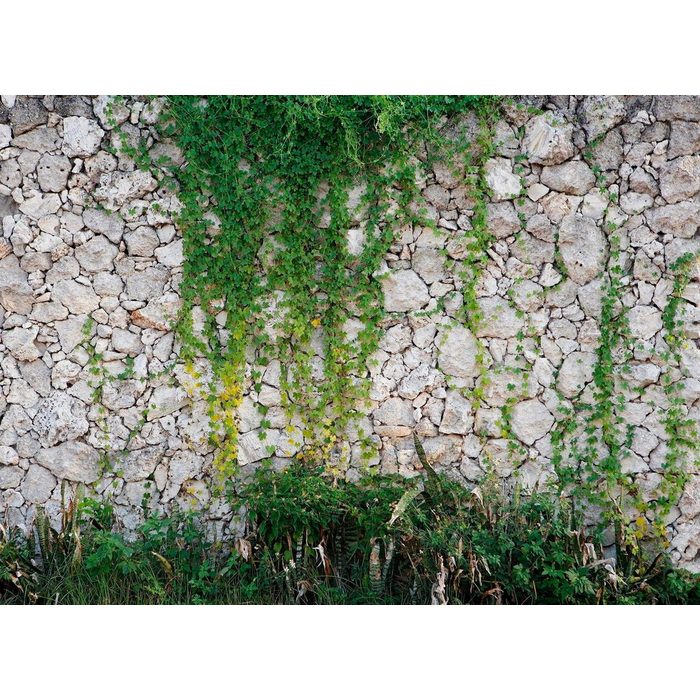 living walls Fototapete Natursteinmauer Vlies glatt (1 St) Steinwand mit Pflanzen Fototapete Steine 3 50 m x 2 55 m Tapete