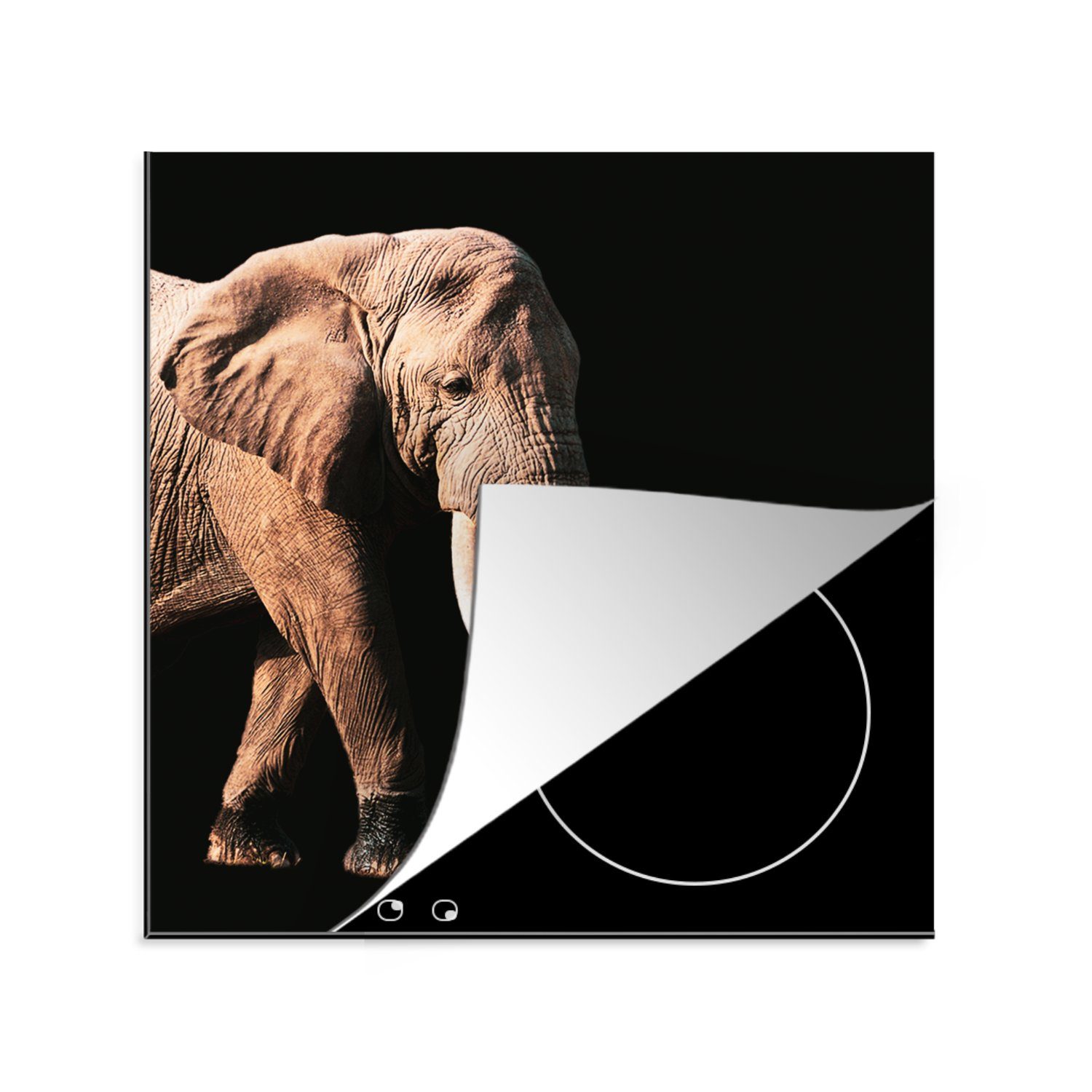 MuchoWow Herdblende-/Abdeckplatte 78x78 Zähne Ceranfeldabdeckung, Tiere, Vinyl, küche Arbeitsplatte für - tlg), (1 Elefant - cm