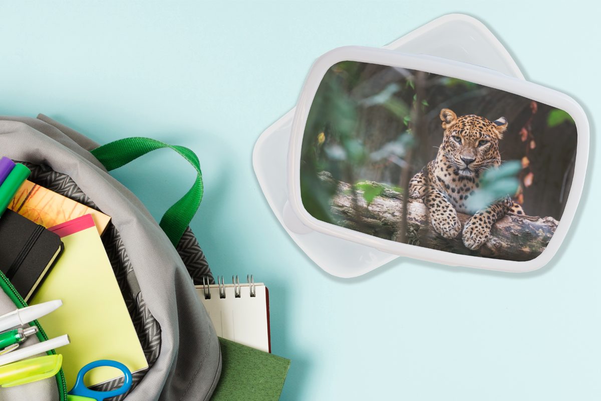 Jungs Panther weiß Kunststoff, Brotdose, - Lunchbox für Brotbox - Tiere, Kinder MuchoWow Dschungel (2-tlg), für und Erwachsene, und Mädchen
