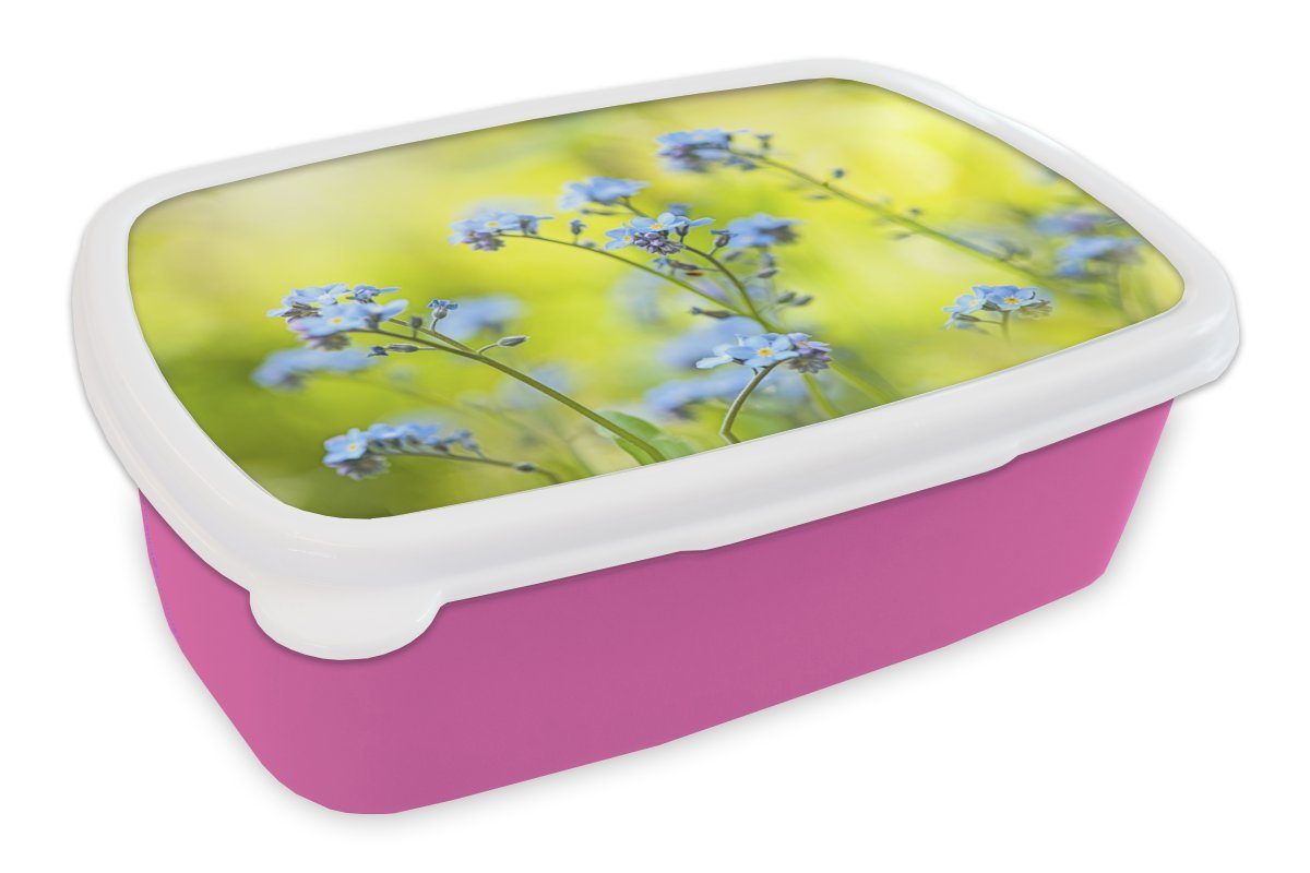 MuchoWow Lunchbox Gruppe von Vergissmeinnicht, Kunststoff, (2-tlg), Brotbox für Erwachsene, Brotdose Kinder, Snackbox, Mädchen, Kunststoff rosa