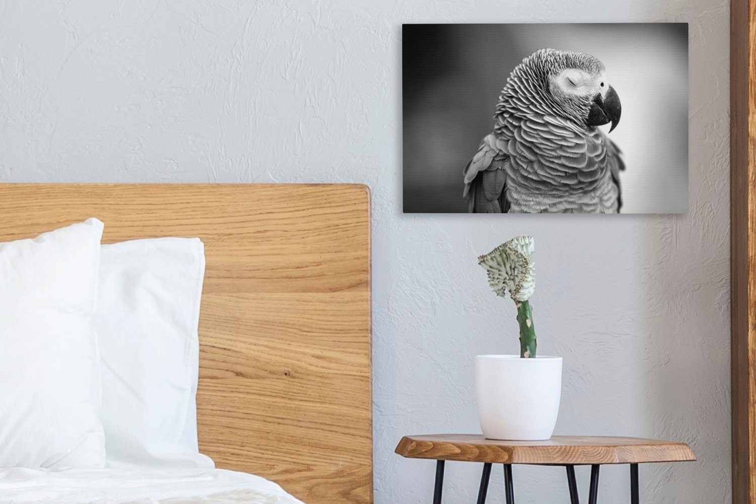 -, (1 oder Nahaufnahme Papageis Leinwandbilder, St), Wandbild Aufhängefertig, 30x20 eines OneMillionCanvasses® Leinwandbild cm Wanddeko, Gartenrotschwanzes schlafenden