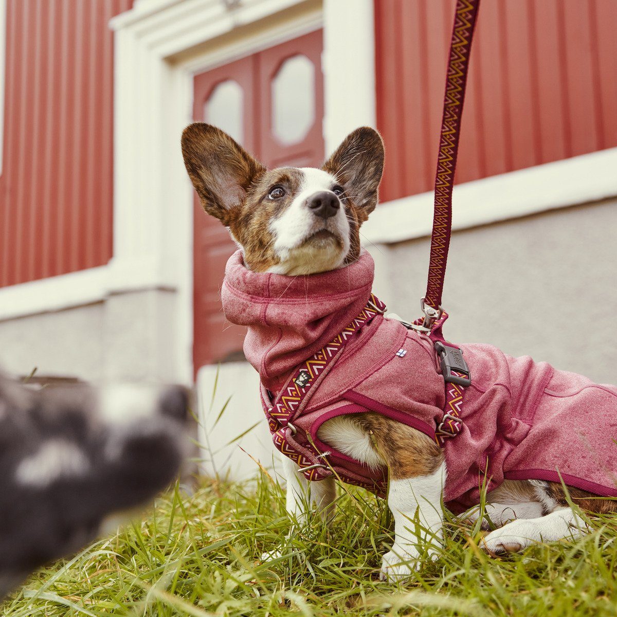 HURTTA Hundepullover Razzle-Dazzle Midlayer Pullover hellrot-rot