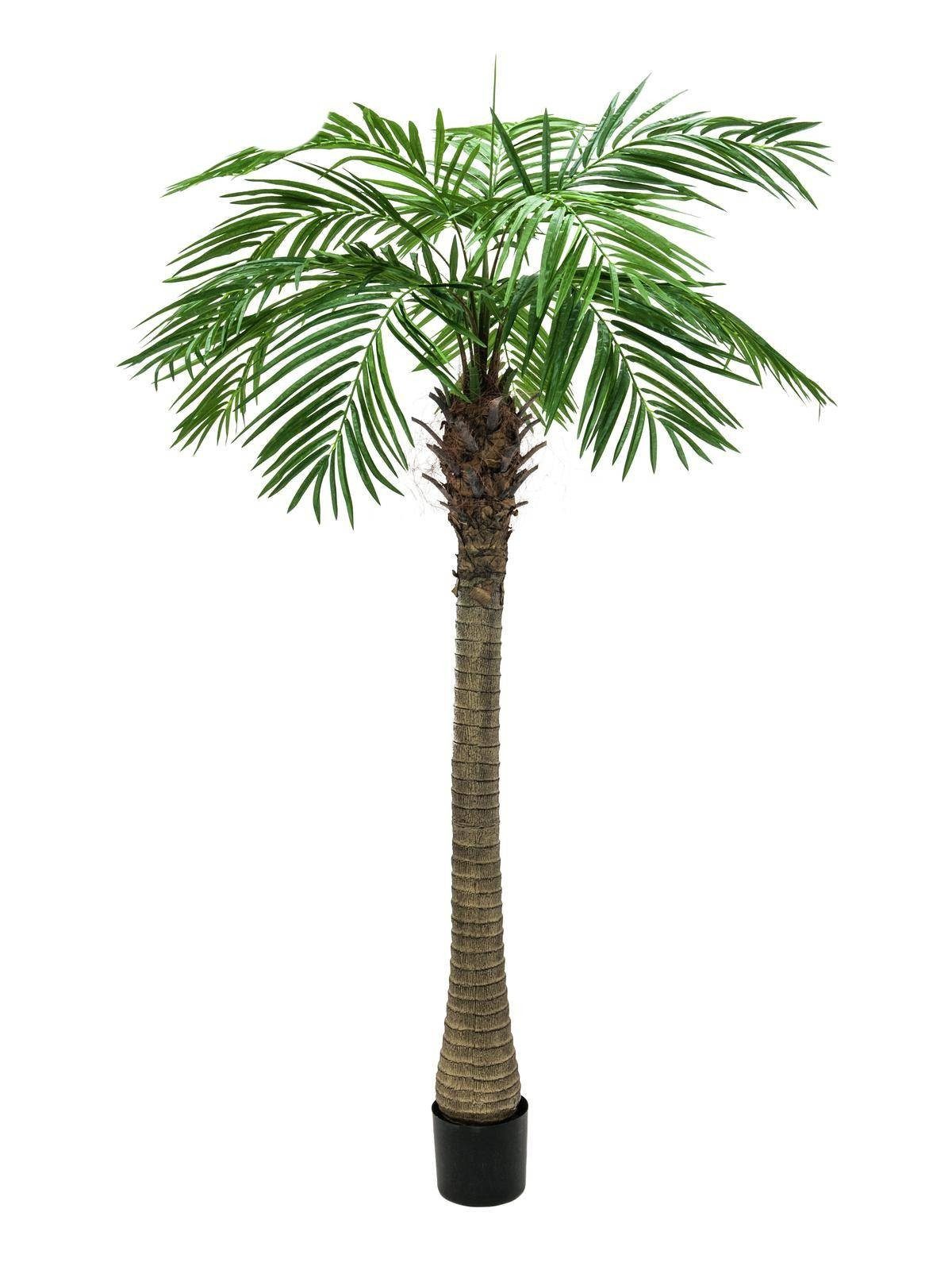 Kunstpalme Künstliche Phönixpalme, 10 Wedel, 300cm - Deko Palme Dattelpalme, artplants, Höhe 300.0 cm