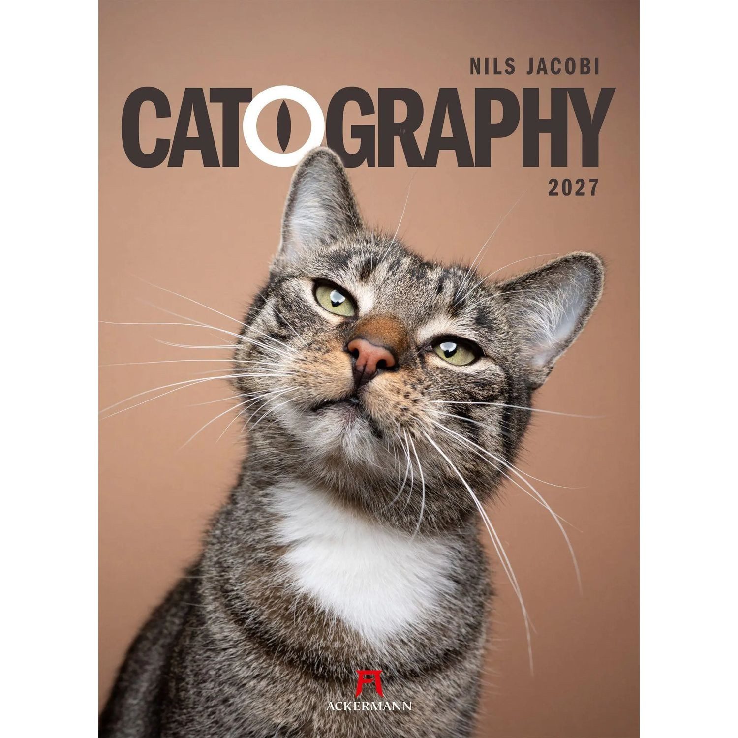 Ackermann Wandkalender Catography Katzen-Kalender 2027