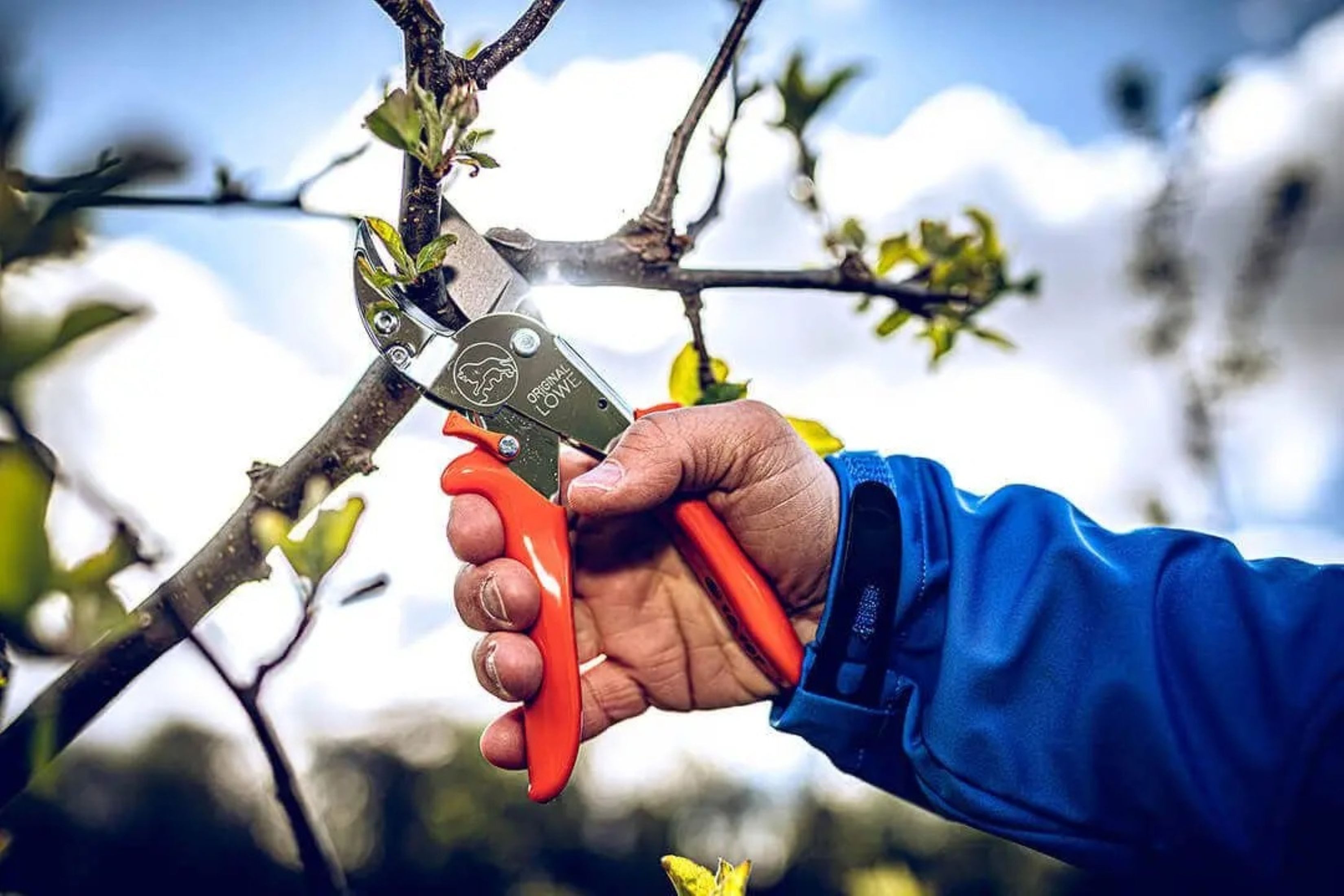 Original LÖWE Gartenschere Original LÖWE 10 Gartenschere Metall, 10.107