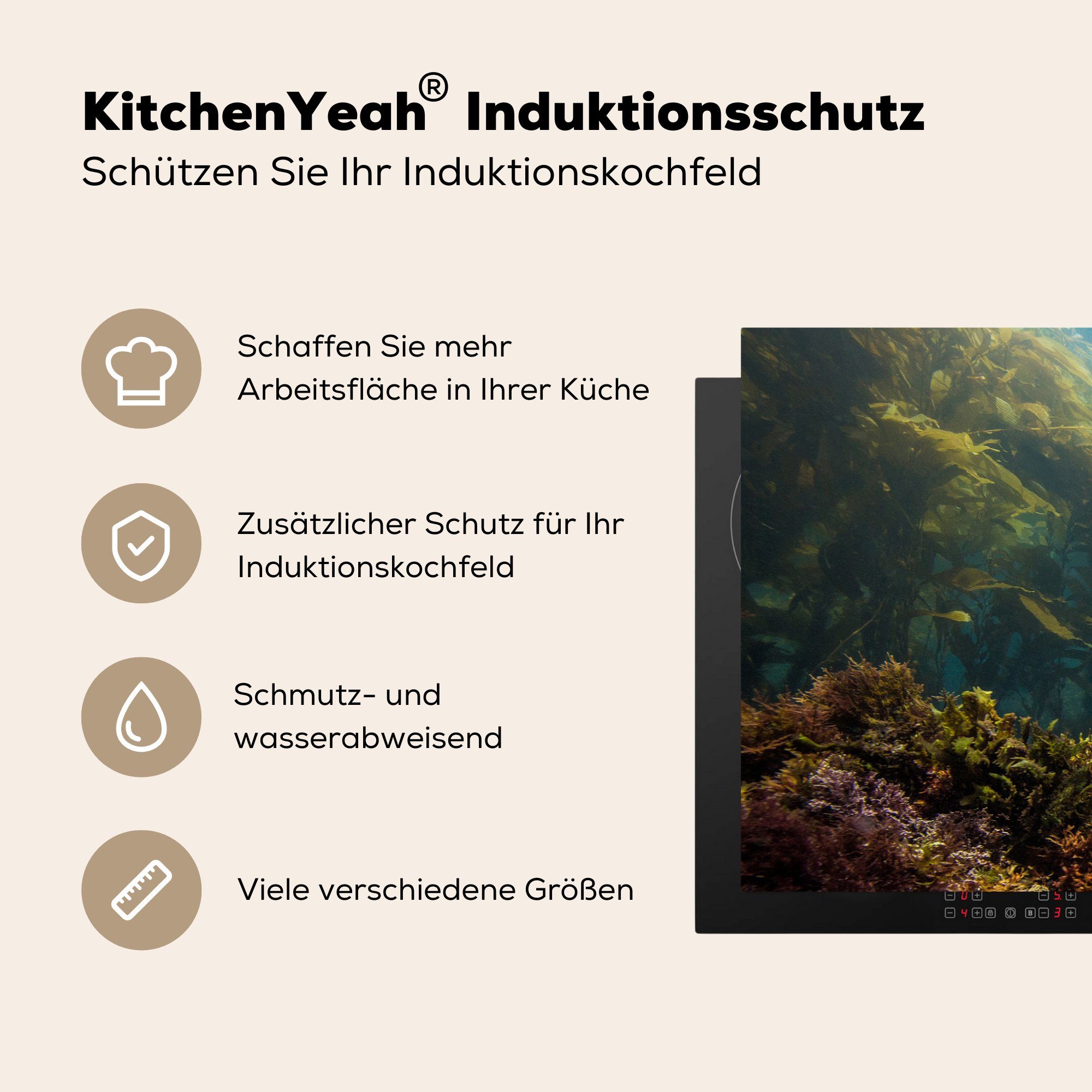 Induktionskochfeld Vinyl, cm, 81x52 für die küche, Wasser Schutz MuchoWow Fische, tlg), Herdblende-/Abdeckplatte (1 - - Kelp Ceranfeldabdeckung