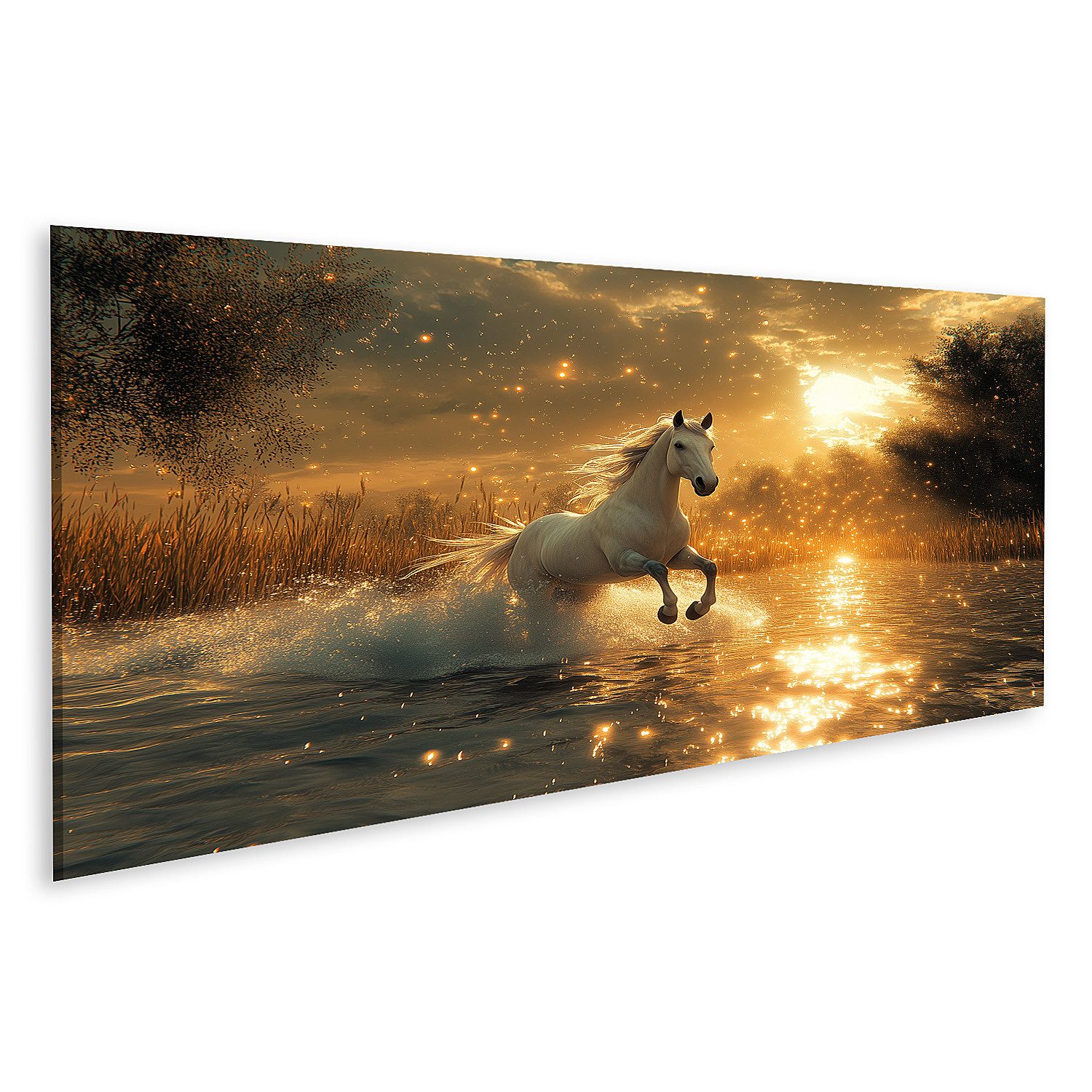 Leinwandbild Weißes Pferd im sonnigen Wasserlauf