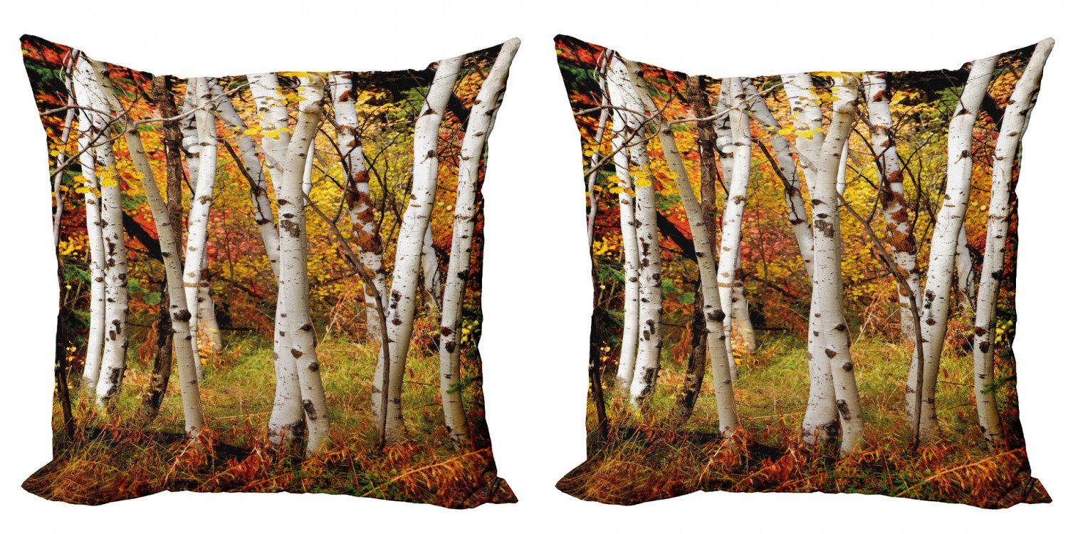 Kissenbezüge Modern Accent Doppelseitiger Digitaldruck, Abakuhaus (2 Stück), Herbst Weiße Birken Serenity