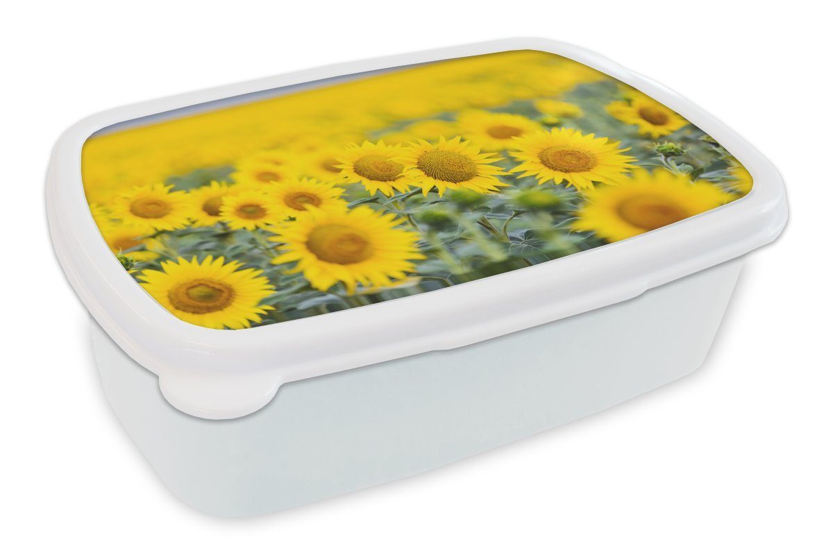 MuchoWow Lunchbox Gelbe Feldsonnenblumen, Kunststoff, (2-tlg), Brotbox für Kinder und Erwachsene, Brotdose, für Jungs und Mädchen weiß | Lunchboxen