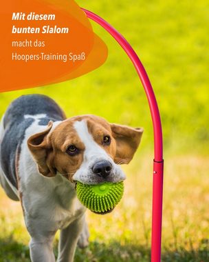 Superhund Agility-Slalom Hoopers Slalom in Rot mit Bogen in Farbe Gelb, Kunststoff
