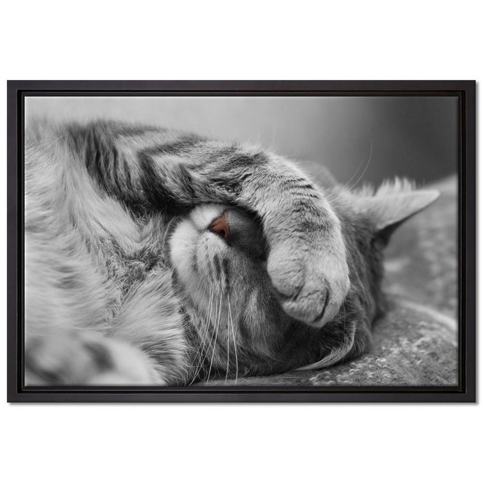 Pixxprint Leinwandbild niedliche Katze beim schlafen Wanddekoration (1 St) Leinwandbild fertig bespannt in einem Schattenfugen-Bilderrahmen gefasst inkl. Zackenaufhänger