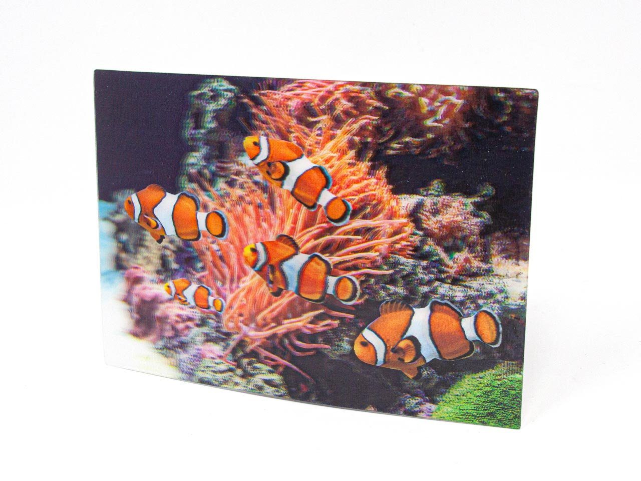 3D Postkarte - Motiv: Auge Eines Parsons Chamäleon