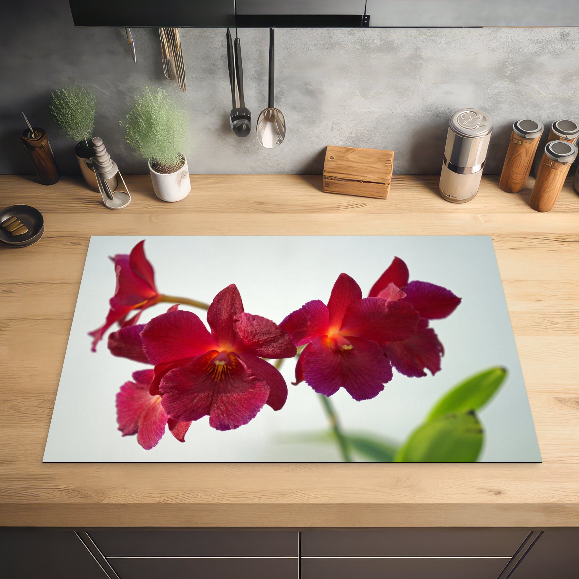 Orchideen 81x52 Herdblende-/Abdeckplatte Vinyl, Rote Ceranfeldabdeckung Induktionskochfeld tlg), vor cm, weißem küche, (1 MuchoWow Schutz die für Hintergrund,