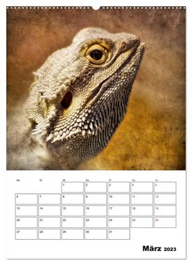CALVENDO Wandkalender Retro Tierportraits (Premium, hochwertiger DIN A2 Wandkalender 2023, Kunstdruck in Hochglanz)